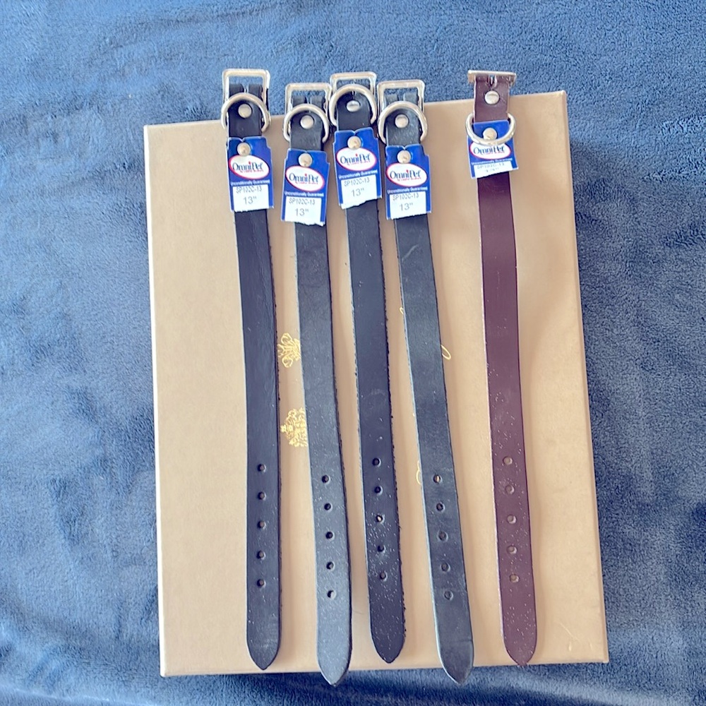 DOG COLLAR BLACK COLOR